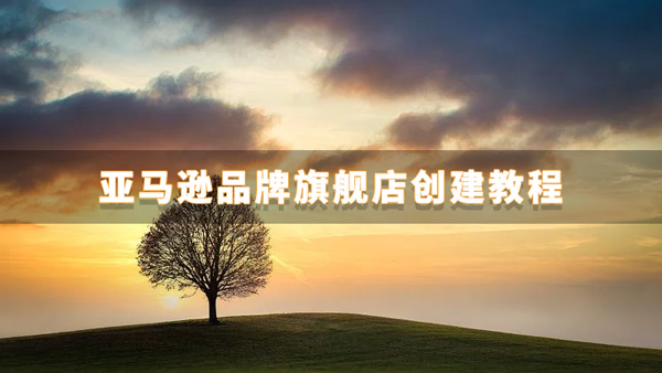 亚马逊运营软件
