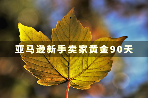 亚马逊新手卖家黄金90天