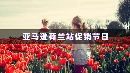亚马逊运营软件