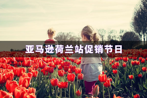 2021年荷兰亚马逊促销节日